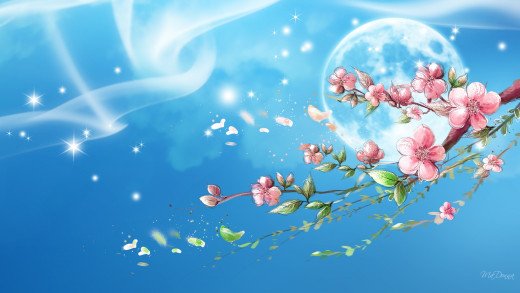 771697 (a): :1920x1080